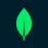 mongoDB.png